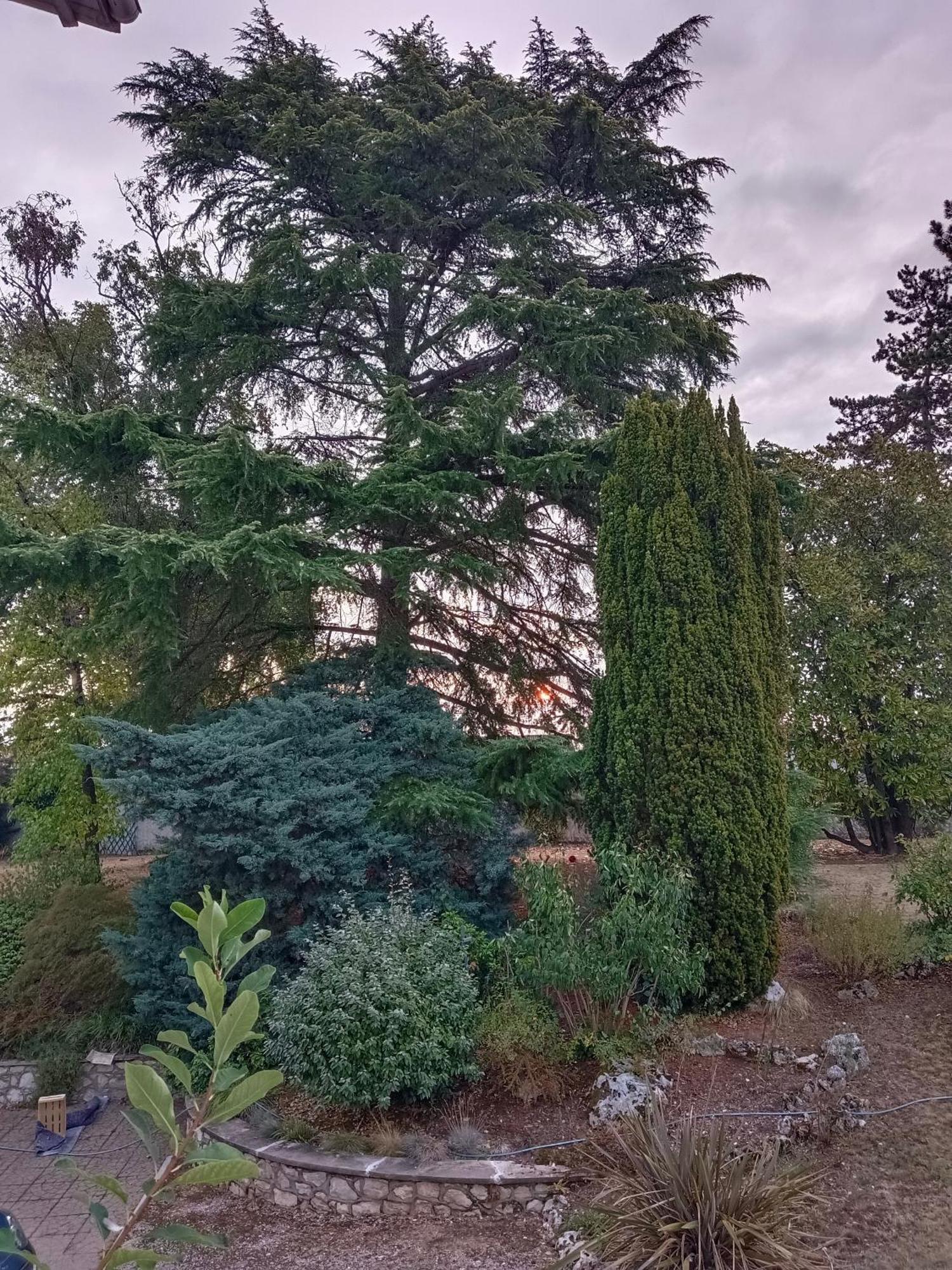 La Maison Basque Sainte-Livrade-sur-Lot Esterno foto